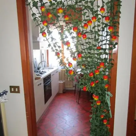 Rainbow House